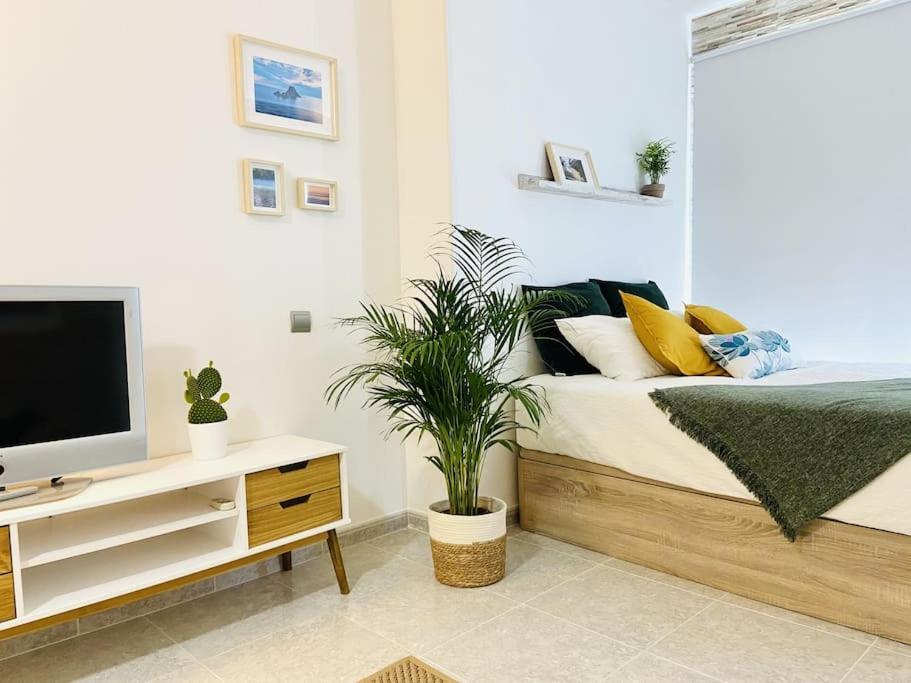 Alterhome Luminoso Estudio Con Piscina Y Maravillosas Vistas 托雷莫利诺斯 外观 照片